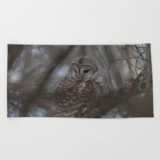 Barred Owl Beach Towel