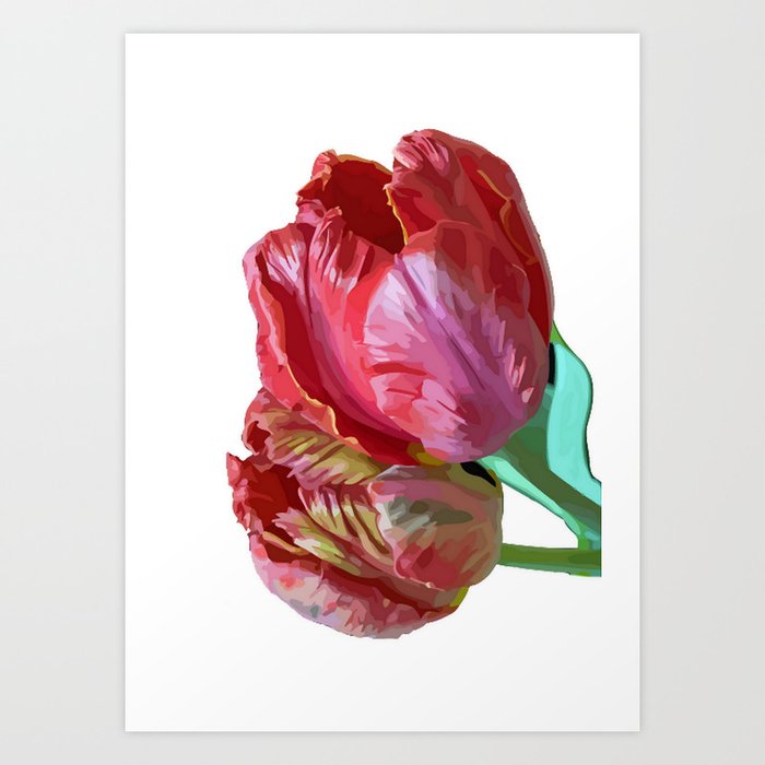 Two red tulips art print
