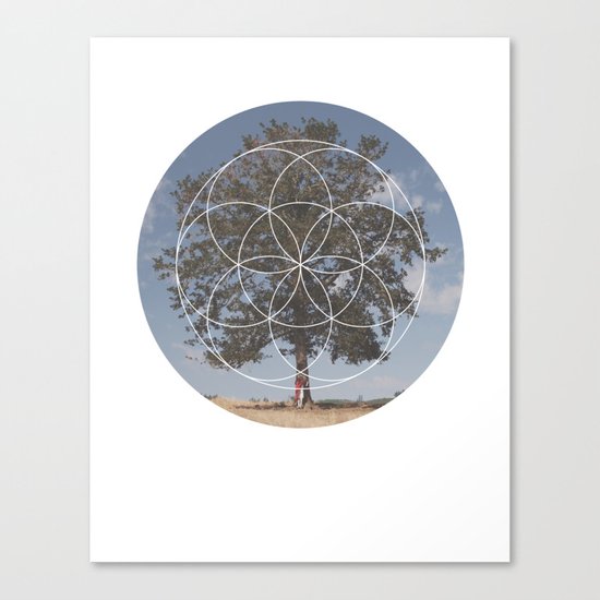Free Tree Hugs - Geometric Photography Canvas Print