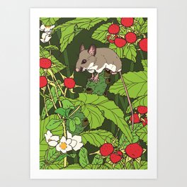 Mouse & Thimbleberry Art Print