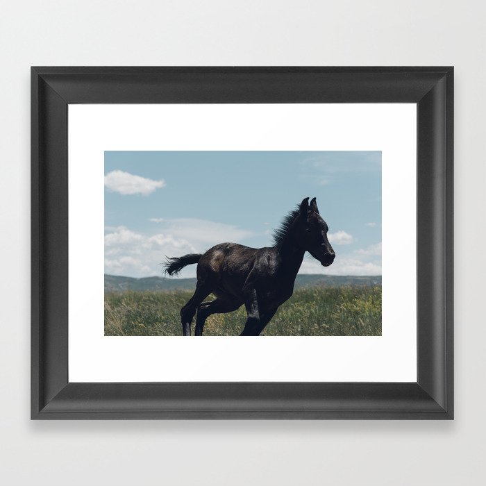 Dark Horse Framed Art Print