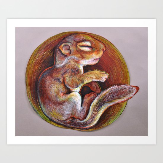 Sciuradae Art Print