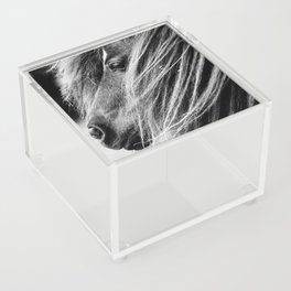 Portrait of a Shetland Pony, Monochrome Acrylic Box