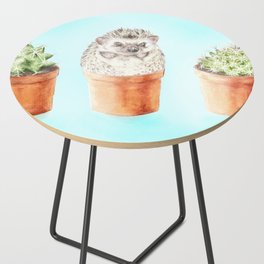 Hedgehog Watercolor Cactus Terra Cotta Pots Side Table