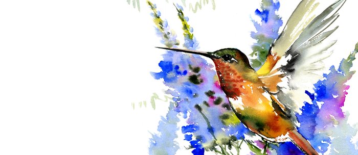 Alen S Hummingbird And Blue Flowers Floral Bird Design Birds