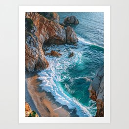 California seashore Art Print