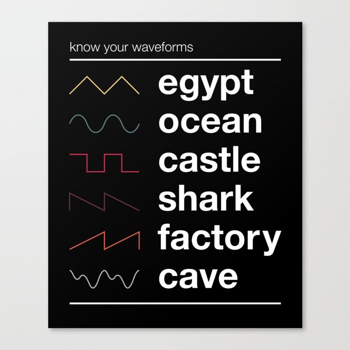 Know your Waveforms Canvas Print