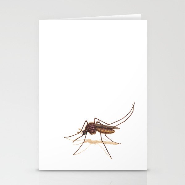 Mosquito by Lars Furtwaengler | Colored Pencil / Pastel Pencil | 2014 Stationery Cards