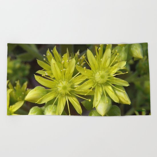 Blooming Green Beach Towel