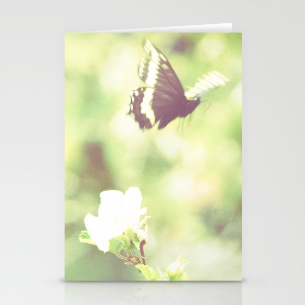 Butterfly Pavilion Stationery Cards