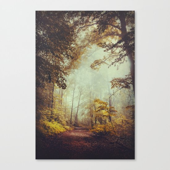 Silent Forest Canvas Print