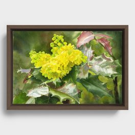 Oregon Grape Wildflower Blossoms, floral watercolor painting Framed Canvas