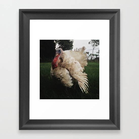 Turkey Framed Art Print