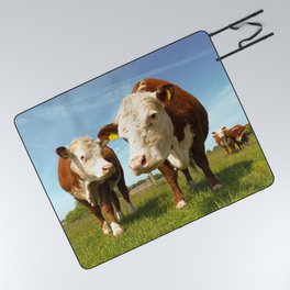 Brown Beef Cattle Hereford Cow Countryside Picnic Blanket