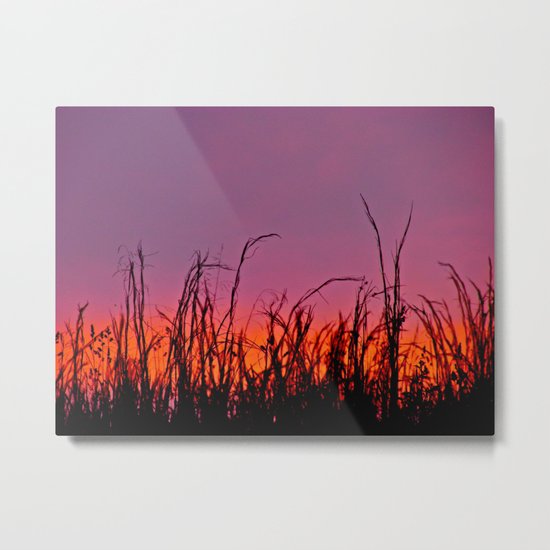Sunset From a Dream Metal Print