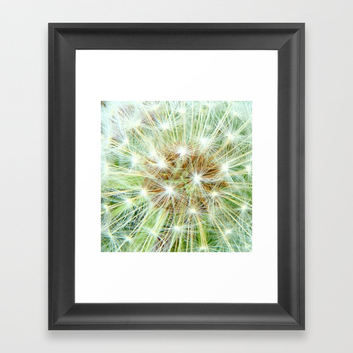Dandelion Seed Heads Close Up Framed Art Print