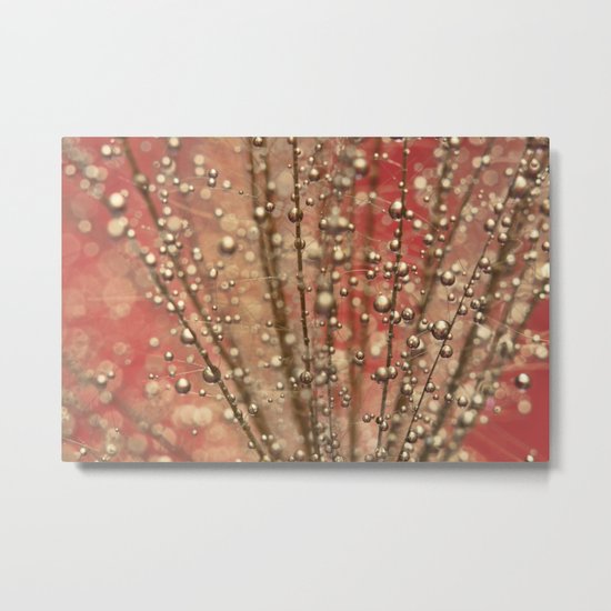 Fairy Pink Metal Print