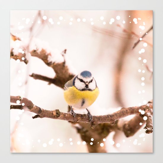 Blue tit on a branch Canvas Print