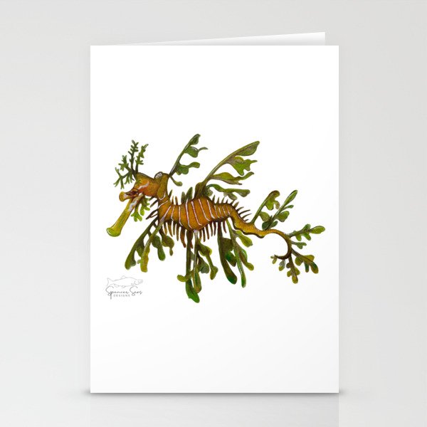 Leafy Seadragon - Phycodurus eques Stationery Cards