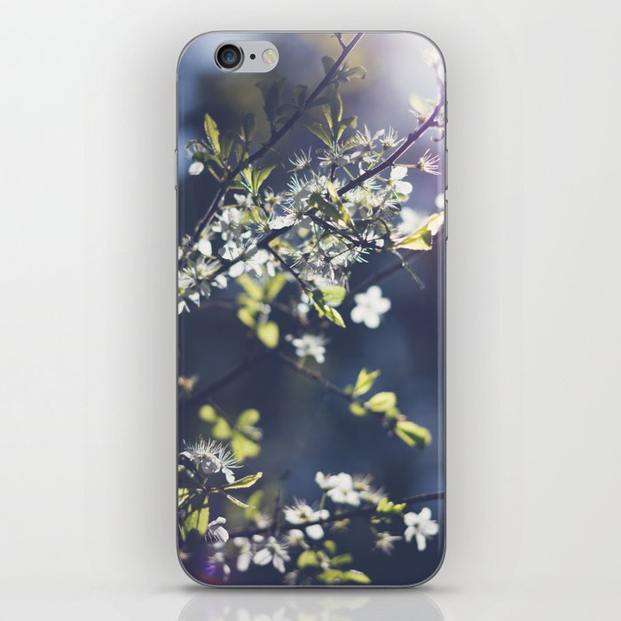 Backlight Blossoms iPhone Skin