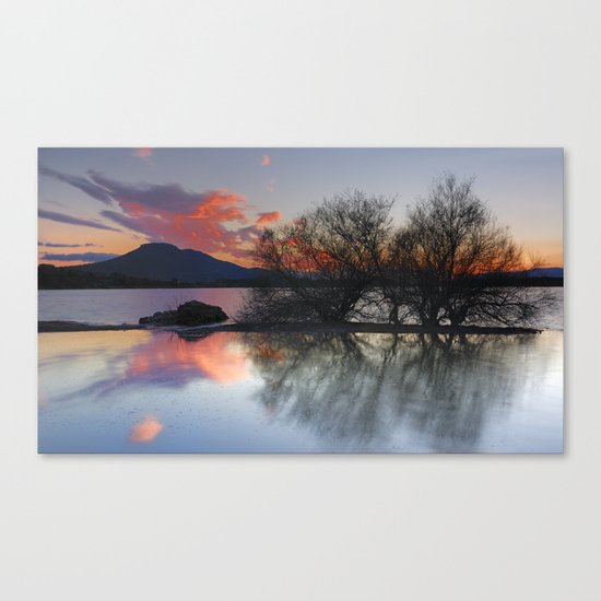 Trees in the water at the red sunset Canvas Print