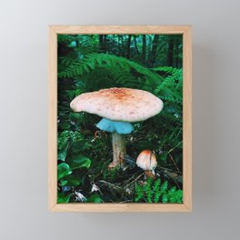 Mushroom Family Framed Mini Art Print