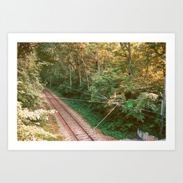 Train Tracks in the Forest | Film Photography | Minneapolis Minnesota Como Harriet Streetcar Art Print