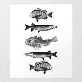 Efishlution Fish Art Print