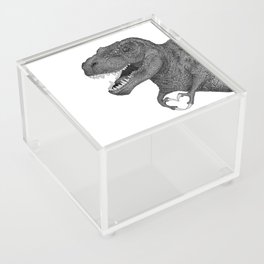 Dino Love Acrylic Box