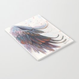 Ascension Notebook
