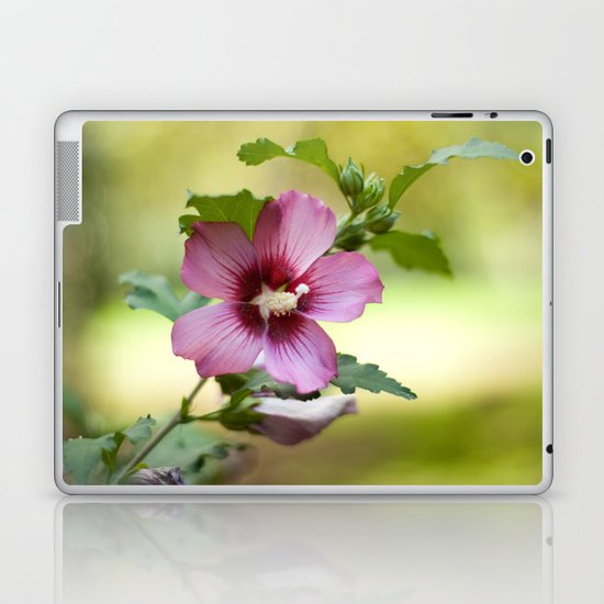 Hardy Hibiscus Laptop & iPad Skin