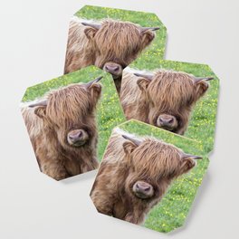 Baby highland cow Coaster