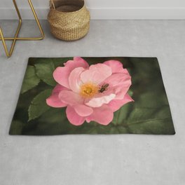 A rose and the fly insect Rug | Springblooming, Pinkblossom, Roseblooming, Romanticrose, Pinkrose, Flowerygarden, Photo, Springnatureimage, Rose, Gardenrose 