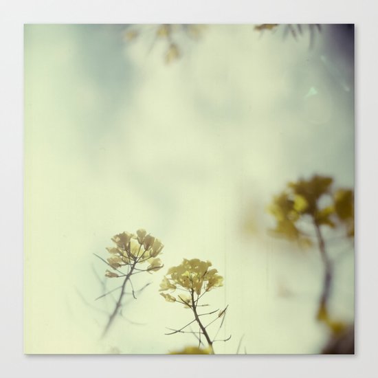 rape Canvas Print