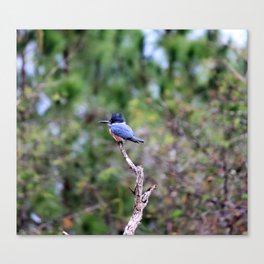 Perilously Perched Canvas Print