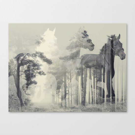 Like a Horse in the woods Canvas Print