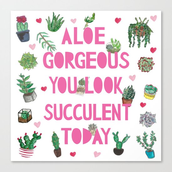 Aloe Gorgeous You Look Succulent Today Canvas Print