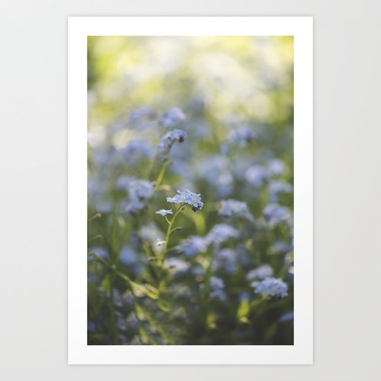 Forget-me-not meadow Spring Flower Flowers Floral on #Society6 Art Print
