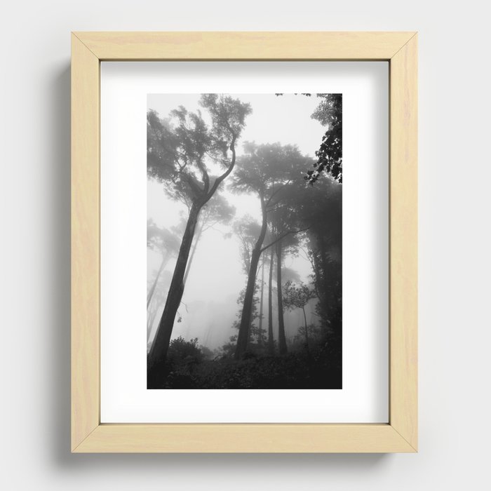 Forest In Fog | Sintra Portugal | Nature Travel Photography Recessed Framed Print