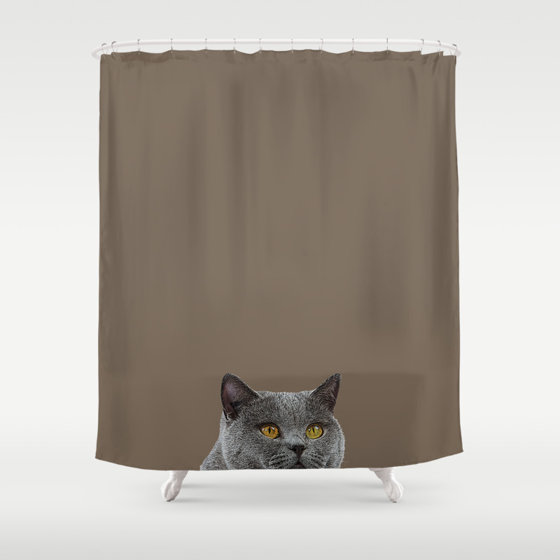 Curious Cat Home Decor British Shorthair Cat Shower Curtain By