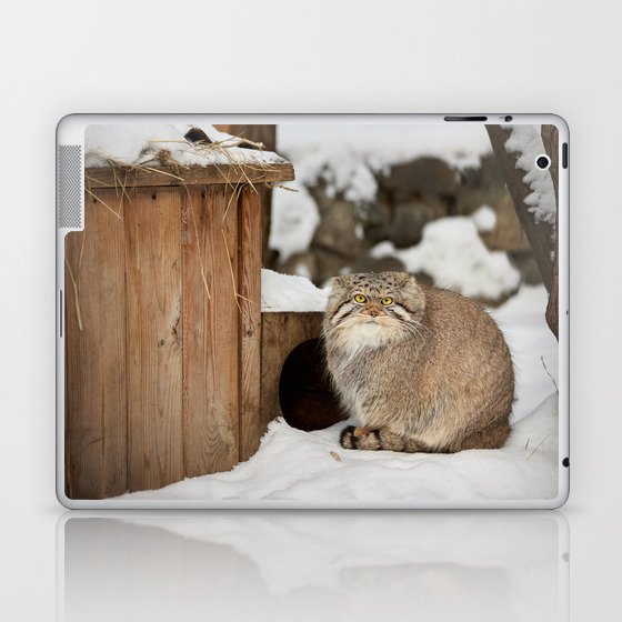 Pallas's Cat Aysha Laptop & iPad Skin