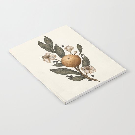 Clementine Notebook