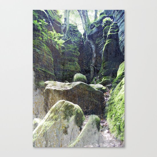 natura 3 Canvas Print