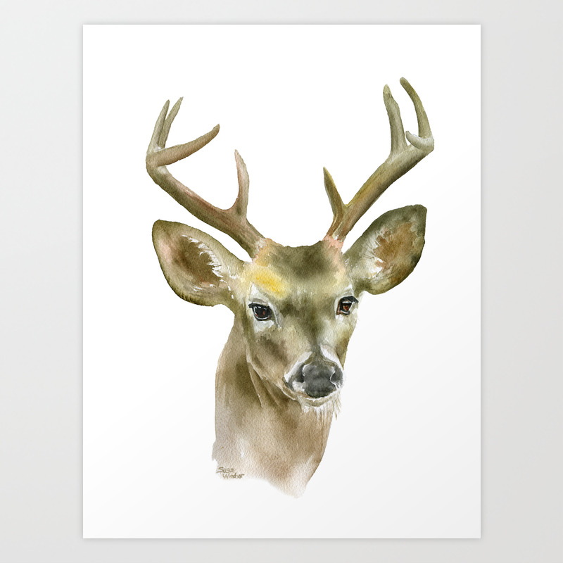 Buck Watercolor Painting Deer Fine Art Art Print By Susanwindsor