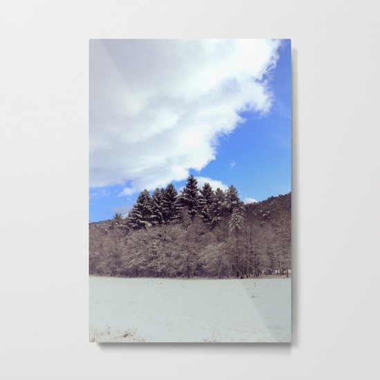 Christmas forrest Metal Print