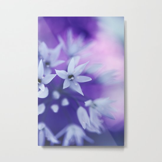 Dusky Violet Metal Print