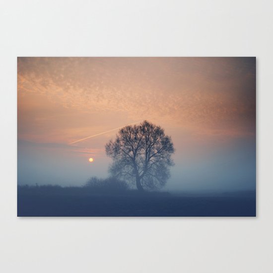 Lucid Canvas Print