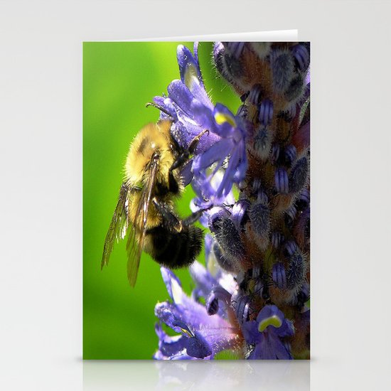 Bee all you can Bee Stationery Cards