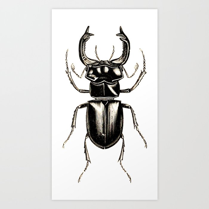 INSECT №2 Art Print