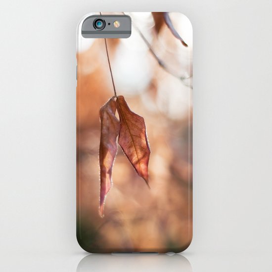 Late Autumn Light II iPhone & iPod Case